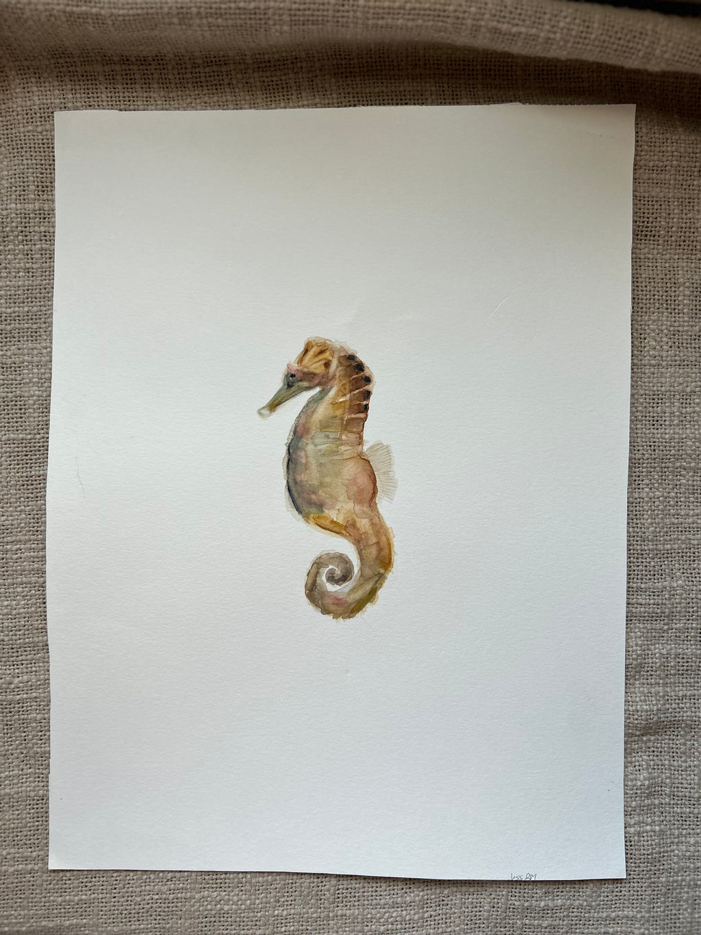 Caballito de mar