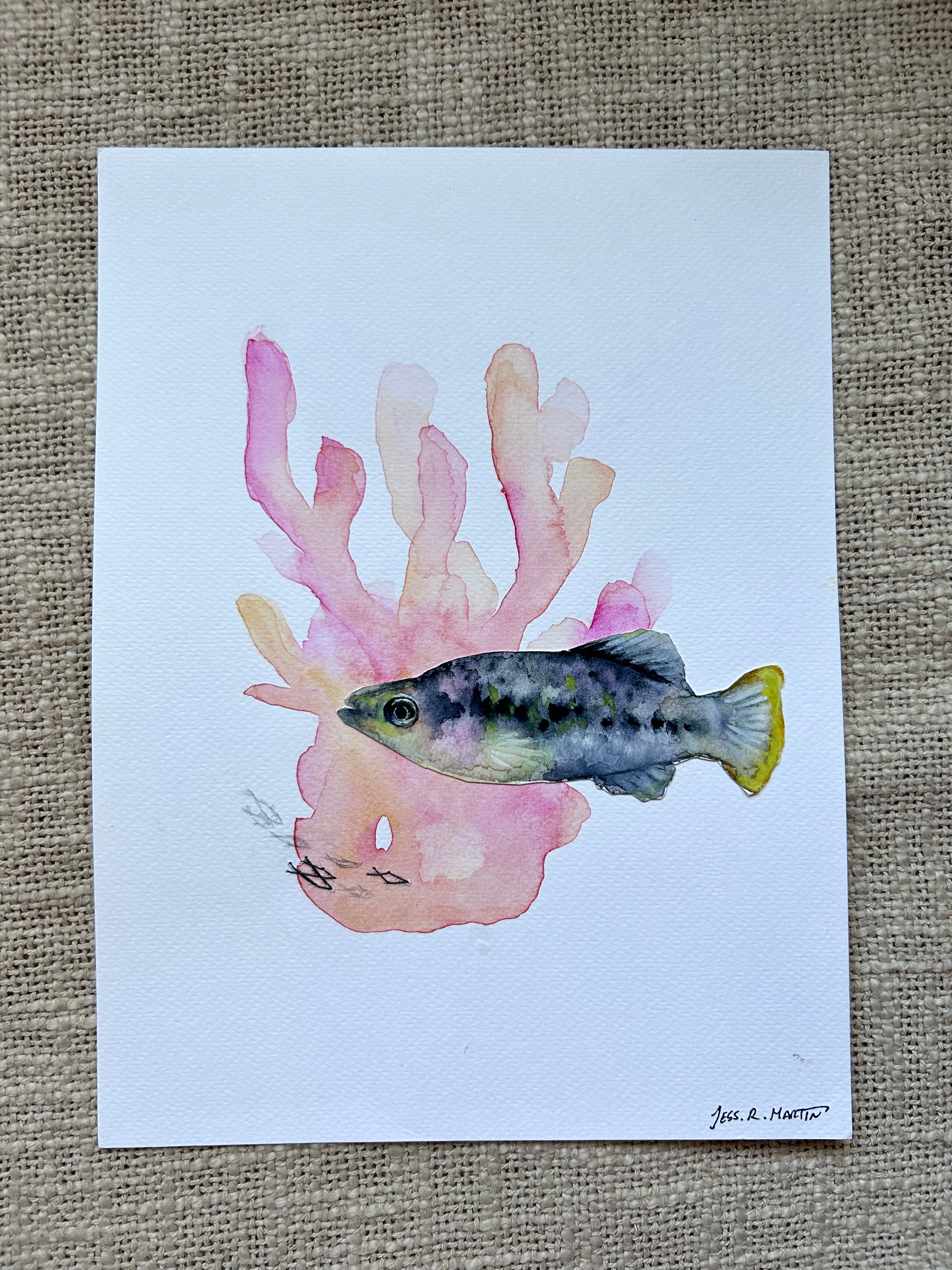 Coral y pez