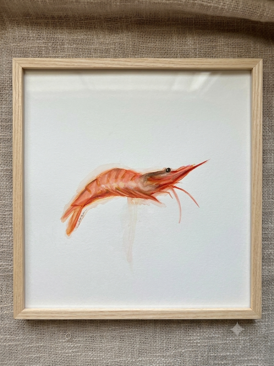 Gamba blanca